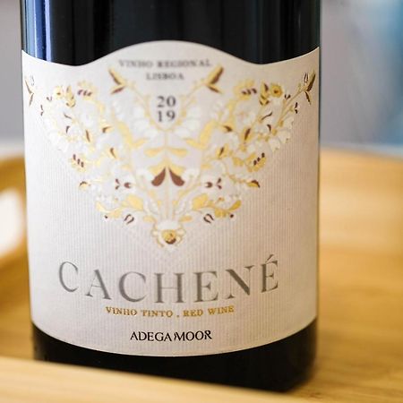 나자레 Casinha Cachene 아파트 외부 사진